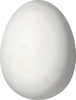 Fulvous Whistling-Duck egg, 53.4 × 40.7 mm