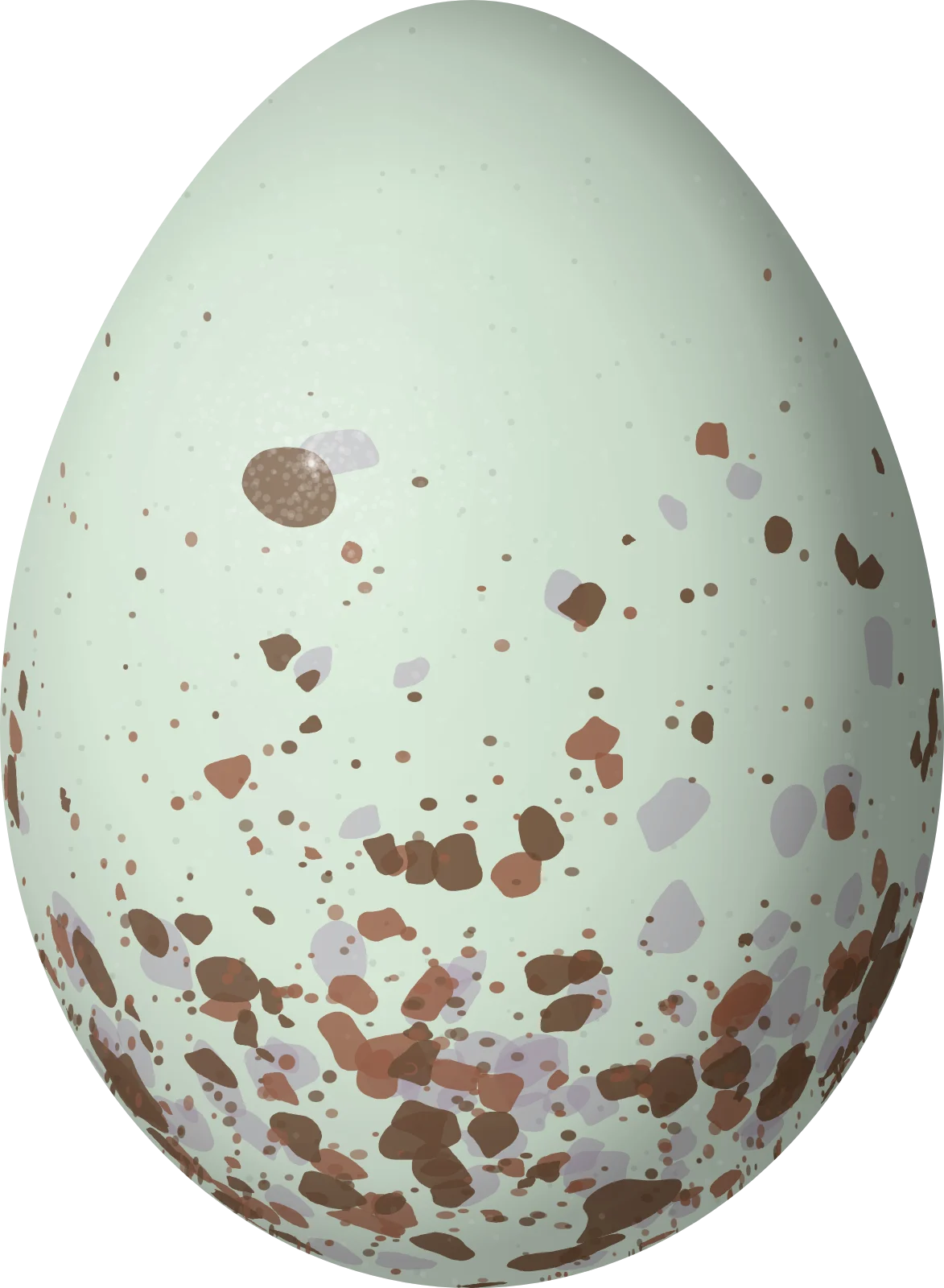 Illustration of a Galapagos Mockingbird (Mimus parvulus) egg, 25.5 × 18.7 mm