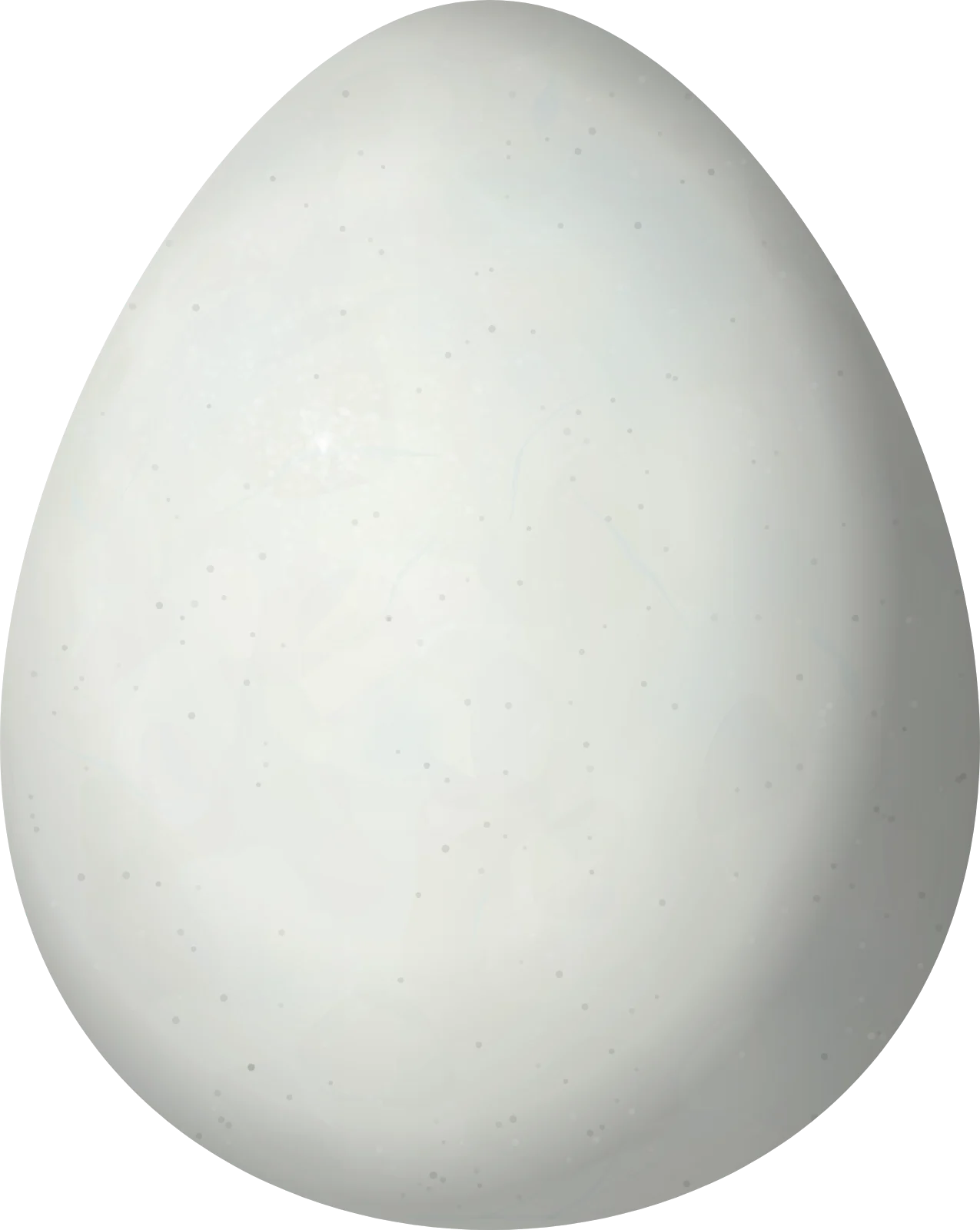 Illustration of a Gentoo Penguin (Pygoscelis papua) egg, 70.47 × 56.15 mm