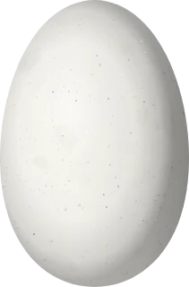 Illustration of a Geoffroy's Daggerbill (Schistes geoffroyi) egg, 13.5 × 8.9 mm