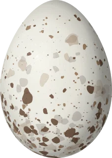 Illustration of a Giant Conebill (Conirostrum binghami) egg, 17.8 × 12.7 mm