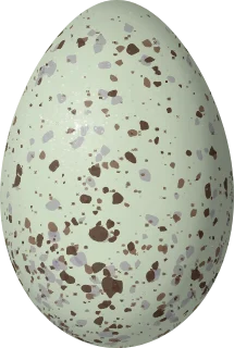 Illustration of a Glacier Finch (Idiopsar speculifer) egg, 26.4 × 17.7 mm