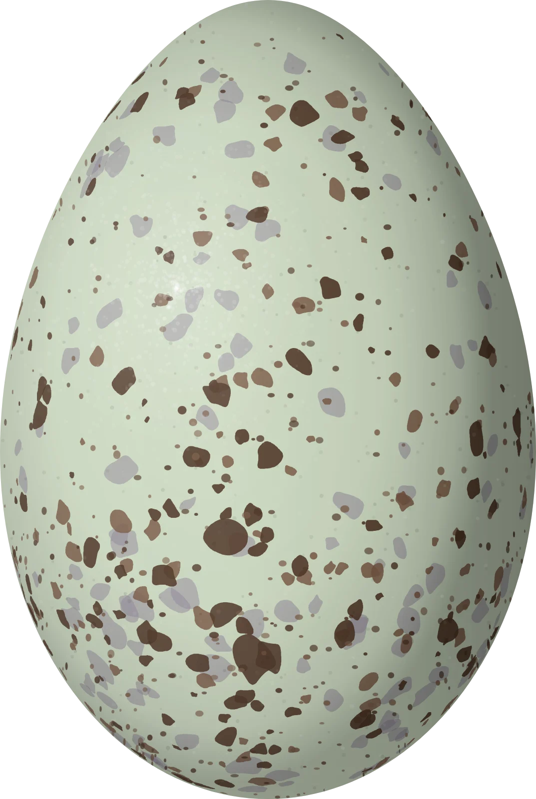Illustration of a Glacier Finch (Idiopsar speculifer) egg, 26.4 × 17.7 mm