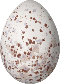Illustration of a Glaucous Tanager (Thraupis glaucocolpa) egg, 23.2 × 16.6 mm