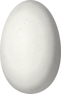 Illustration of a Glittering-bellied Emerald (Chlorostilbon lucidus) egg, 12.88 × 8.42 mm