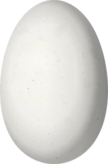 Illustration of a Glittering-throated Emerald (Chionomesa fimbriata) egg, 12.9 × 8.5 mm