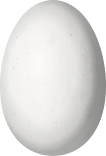 Illustration of a Glow-throated Hummingbird (Selasphorus ardens) egg, 12.4 × 8.4 mm