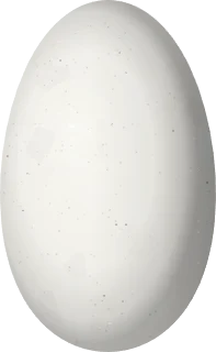 Illustration of a Glowing Puffleg (Eriocnemis vestita) egg, 13 × 8 mm