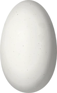 Illustration of a Golden-bellied Starfrontlet (Coeligena bonapartei) egg, 16.1 × 9.9 mm
