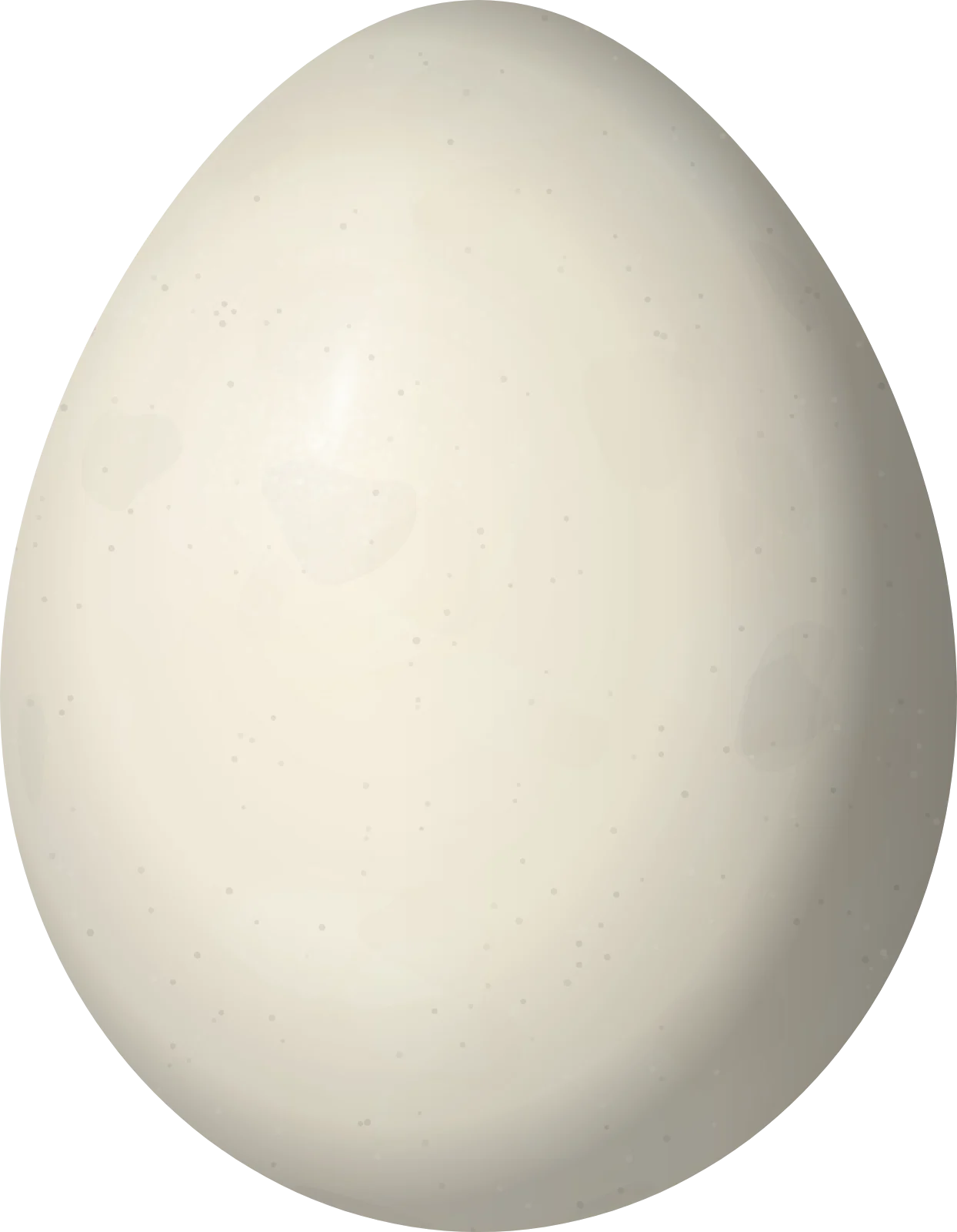 Illustration of a Golden-browed Chat-Tyrant (Silvicultrix pulchella) egg, 17.1 × 13.3 mm