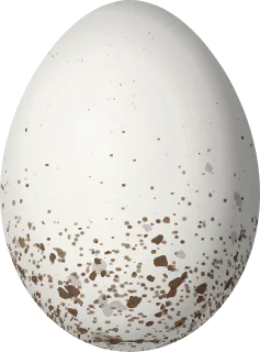 Golden-cheeked Warbler egg, 17.7 × 13.1 mm