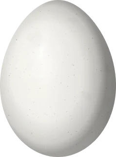 Illustration of a Golden-collared Woodpecker (Veniliornis cassini) egg, 22.9 × 17 mm