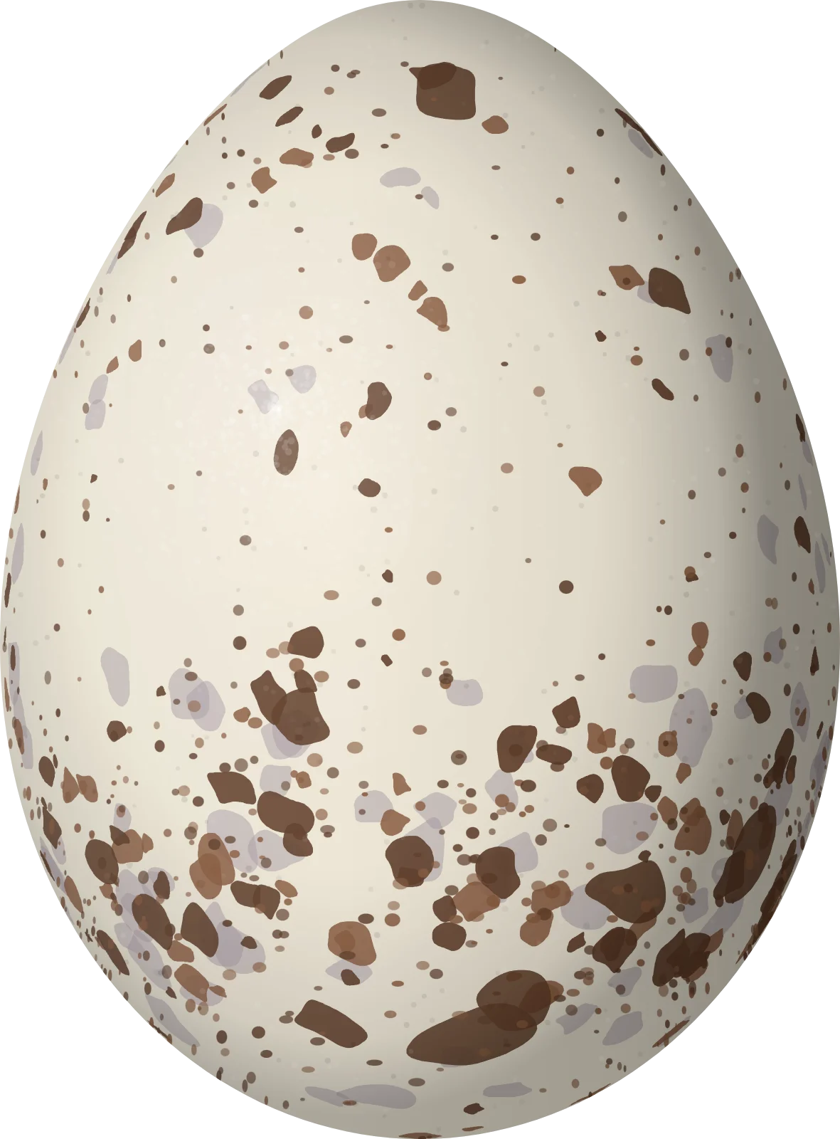 Illustration of a Golden-crowned Flycatcher (Myiodynastes chrysocephalus) egg, 26.9 × 19.85 mm