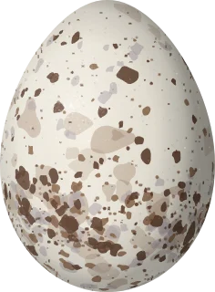 Illustration of a Golden-eared Tanager (Tangara chrysotis) egg, 20.6 × 15.2 mm