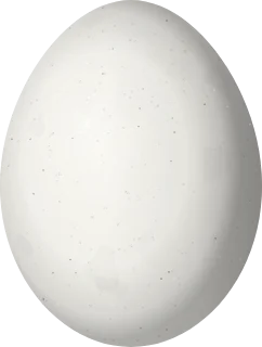 Golden-fronted Woodpecker egg, 25.82 × 19.5 mm