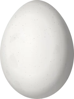 Illustration of a Golden-green Woodpecker (Piculus chrysochloros) egg, 21.85 × 16.35 mm