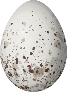 Illustration of a Golden-hooded Tanager (Stilpnia larvata) egg, 20.2 × 14.8 mm