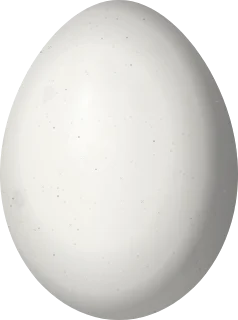 Illustration of a Golden-naped Woodpecker (Melanerpes chrysauchen) egg, 25.8 × 19.2 mm