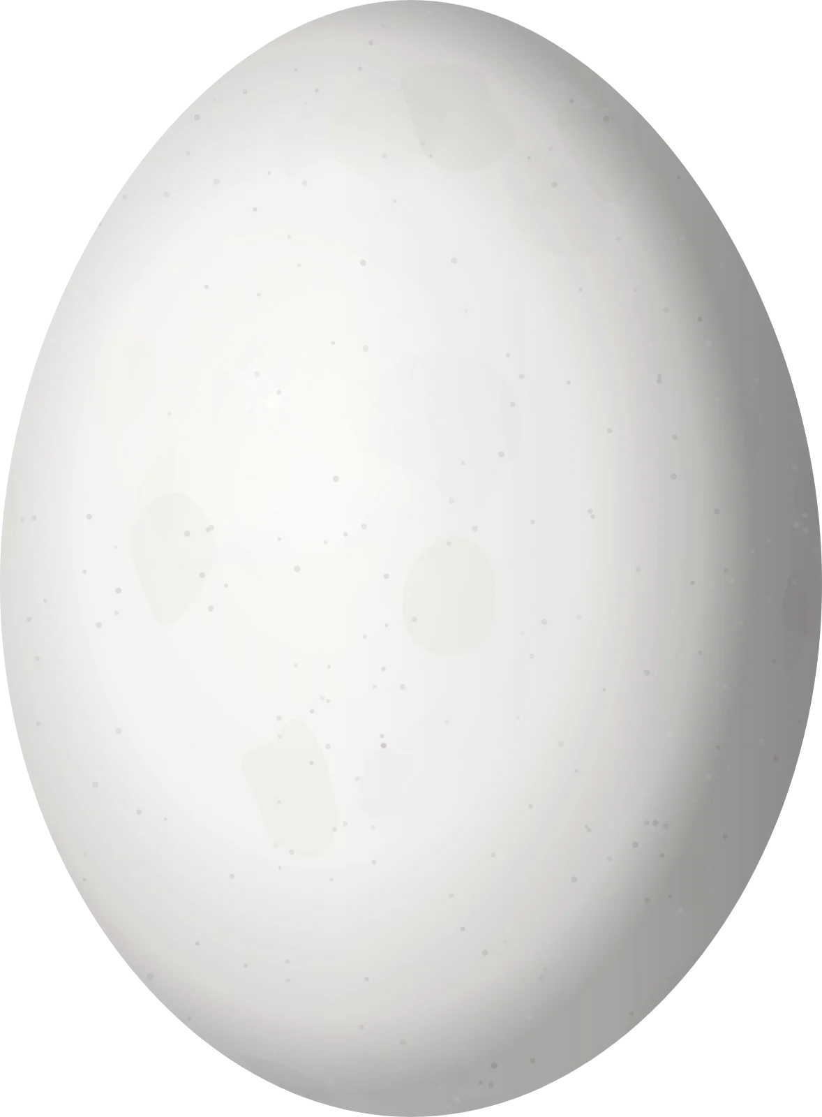 Illustration of a Golden-spotted Ground Dove (Metriopelia aymara) egg, 23.5 × 17.3 mm