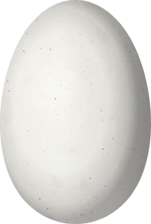Illustration of a Golden-tailed Sapphire (Chrysuronia oenone) egg, 13.2 × 8.9 mm