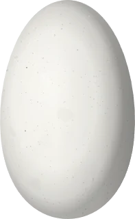 Illustration of a Gorgeted Puffleg (Eriocnemis isabellae) egg, 13 × 8 mm