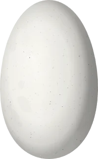 Illustration of a Gorgeted Sunangel (Heliangelus strophianus) egg, 14.2 × 8.8 mm