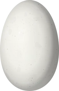 Illustration of a Gorgeted Woodstar (Chaetocercus heliodor) egg, 13.09 × 8.46 mm