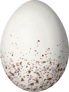 Grace's Warbler egg, 16.9 × 12.7 mm