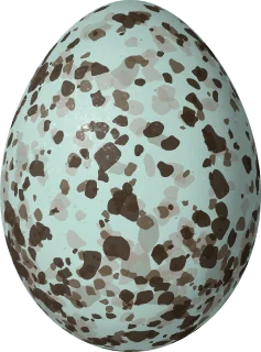 Gray-cheeked Thrush egg, 23 × 17 mm