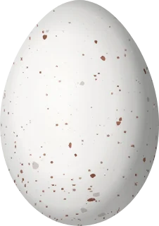 Gray-crowned Rosy-Finch egg, 24.5 × 17.3 mm