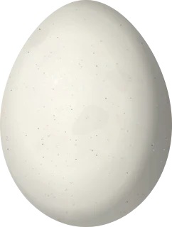 Gray Flycatcher egg, 17.7 × 13.4 mm