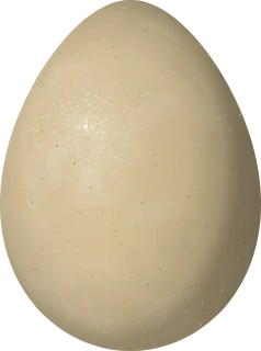 Gray Partridge egg, 36.8 × 27.4 mm