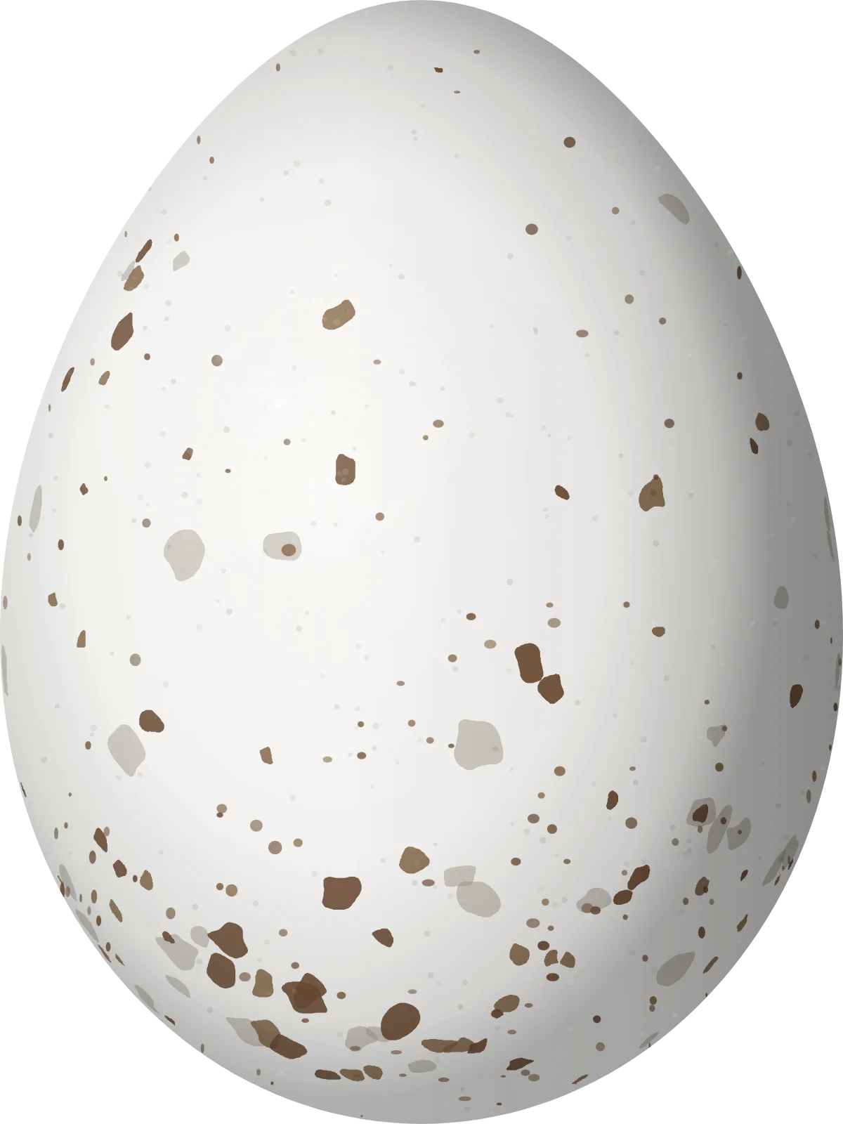 Illustration of a Gray Vireo (Vireo vicinior) egg, 18 × 13.5 mm