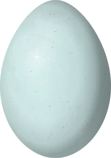 Illustration of a Great Blue Heron (Ardea herodias) egg, 64.5 × 45.2 mm