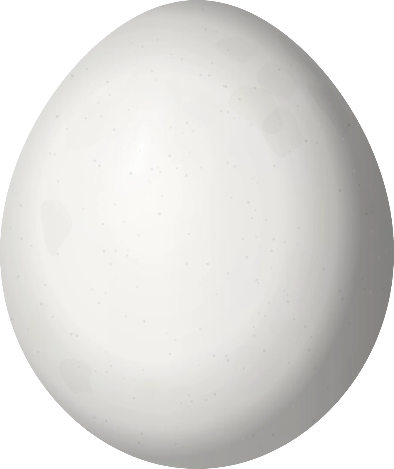Illustration of a Great Jacamar (Jacamerops aureus) egg, 22.5 × 18.9 mm