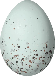 Illustration of a Greater Flowerpiercer (Diglossa major) egg, 17.5 × 12.7 mm