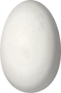 Illustration of a Green-backed Firecrown (Sephanoides sephaniodes) egg, 15 × 9.9 mm