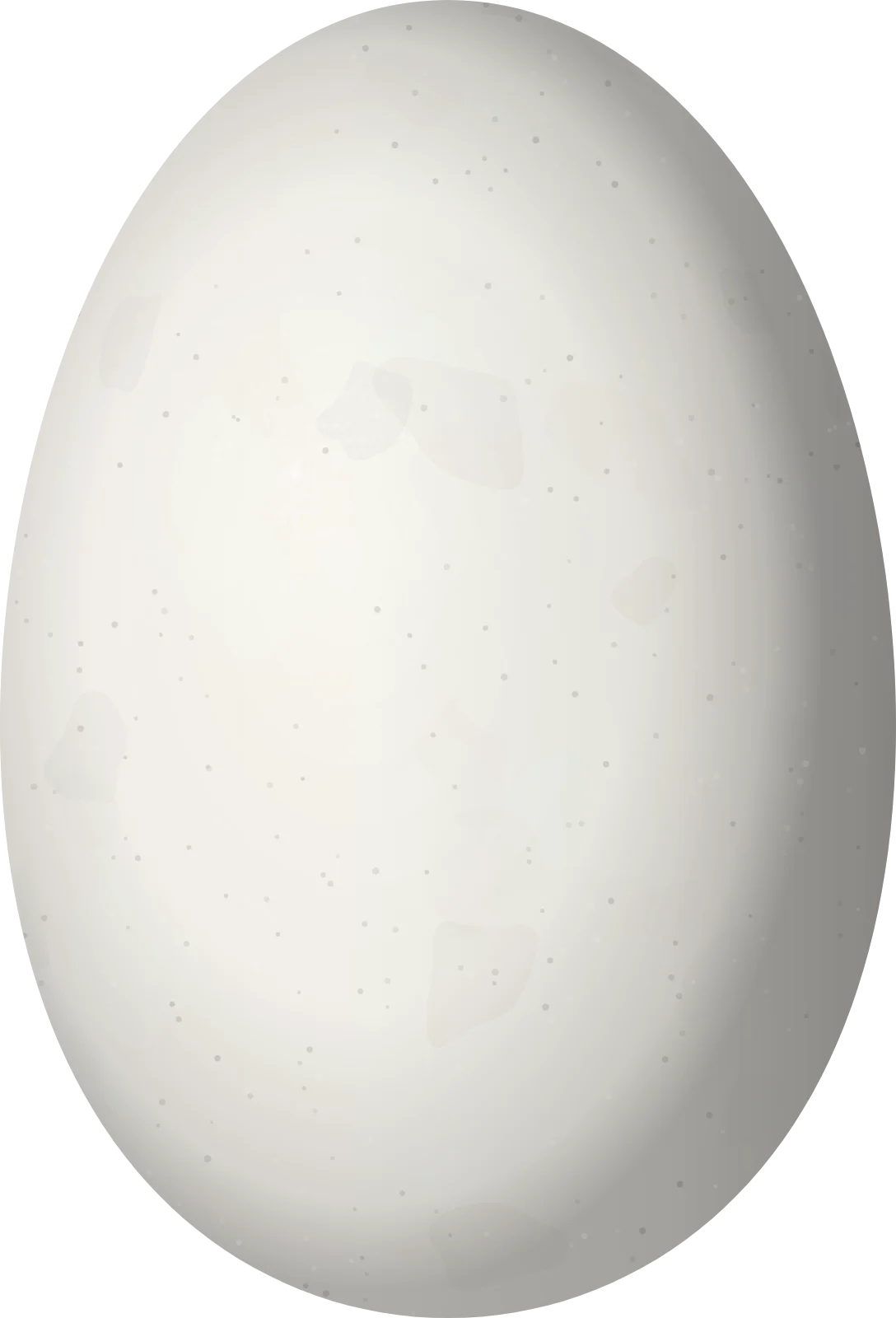 Illustration of a Green-bearded Helmetcrest (Oxypogon guerinii) egg, 15 × 10.2 mm
