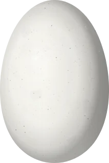 Illustration of a Green-breasted Mountaingem (Lampornis sybillae) egg, 14.6 × 9.7 mm