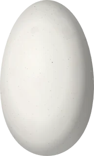 Illustration of a Green-crowned Plovercrest (Stephanoxis lalandi) egg, 13.5 × 8.1 mm