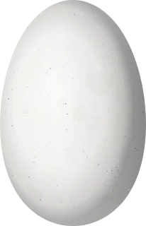 Illustration of a Green-fronted Hummingbird (Ramosomyia viridifrons) egg, 14 × 9 mm