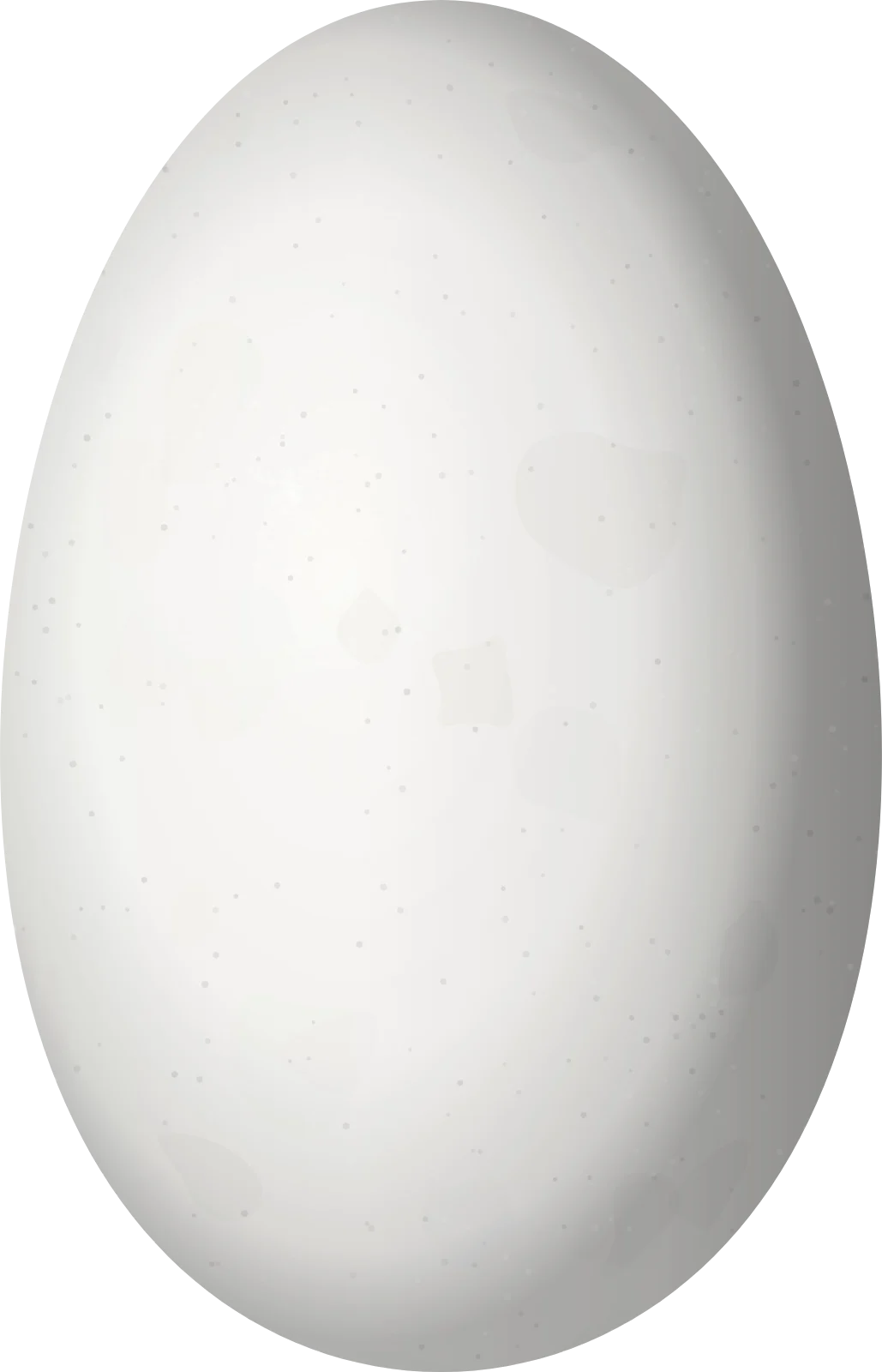 Illustration of a Green-fronted Hummingbird (Ramosomyia viridifrons) egg, 14 × 9 mm