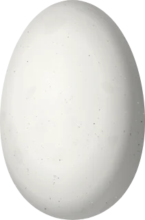 Illustration of a Green-fronted Lancebill (Doryfera ludovicae) egg, 13.5 × 8.9 mm