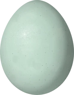 Illustration of a Green Heron (Butorides virescens) egg, 38 × 29.5 mm