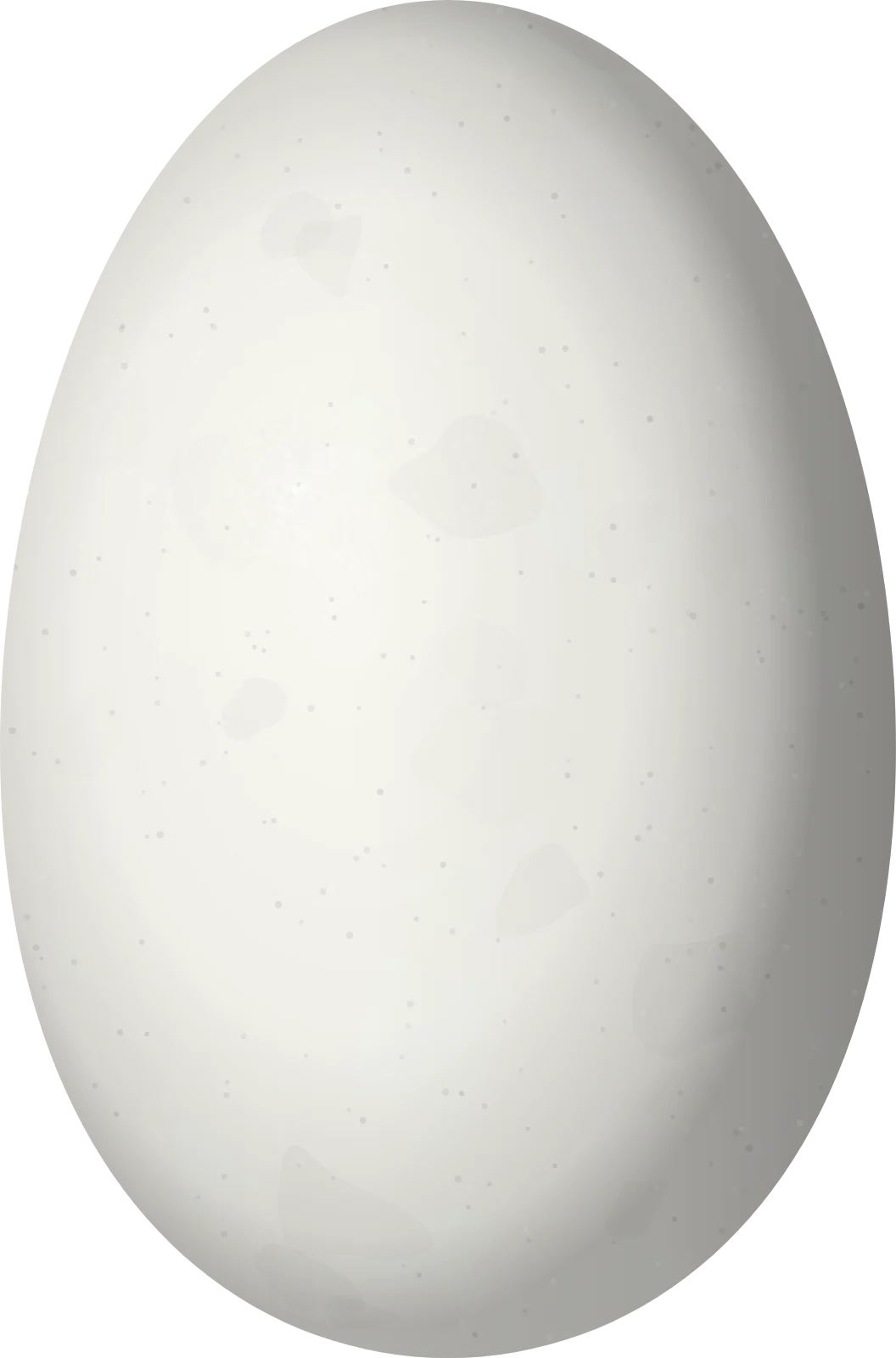 Illustration of a Green Mango (Anthracothorax viridis) egg, 14.7 × 9.7 mm