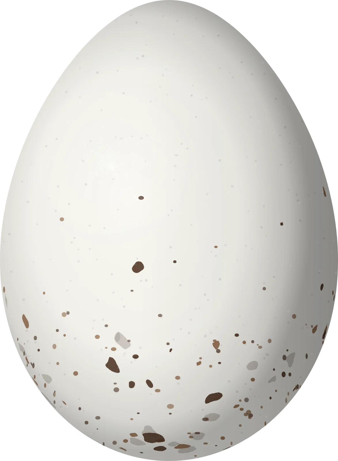 Illustration of a Green Shrike-Vireo (Vireolanius pulchellus) egg, 19.1 × 14 mm