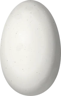 Illustration of a Green-tailed Emerald (Chlorostilbon alice) egg, 12.3 × 7.8 mm
