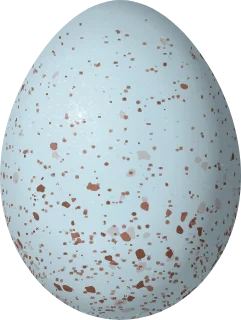 Green-tailed Towhee egg, 21.8 × 16.4 mm