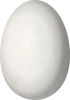 Illustration of a Green-tailed Trainbearer (Lesbia nuna) egg, 14 × 9.8 mm