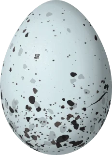 Illustration of a Green-winged Saltator (Saltator similis) egg, 25.8 × 18.7 mm